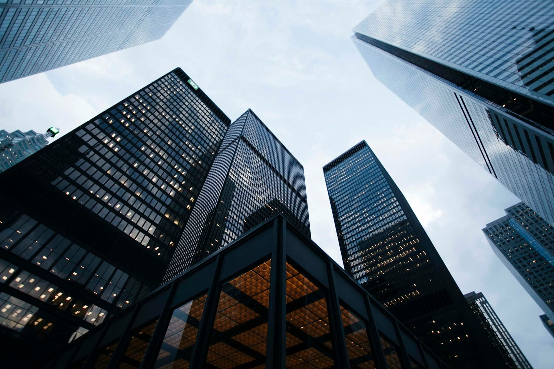 Modern city architecture — structured relocation versus unassisted settling-in